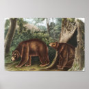 Search for cute bear illustration posters Vintage