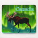 Search for borealis electronics Snow