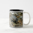 Search for toads mugs Animal