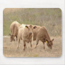 Search for cattles mousepads Farmer