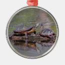 Search for reptiles ornaments Turtles