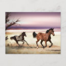 Search for horse postcards Pinto