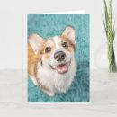 Search for smiling puppy cards Pet