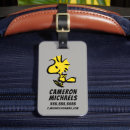 Search for woodstock luggage tags Sunday paper