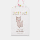 Recherche de cute llama Coloré