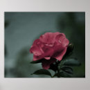 Recherche de buisson posters Pour elle