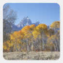 Search for aspen mountain stickers Fall