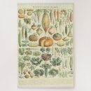 Search for vegetable puzzles Garden
