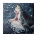 Search for mouth tiles Animal