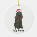 Search for cocker spaniel ornaments Santa