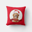 Search for golden retriever christmas pillows Pet