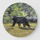 Search for ursus photography Bear and forest