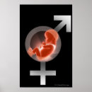 Recherche de foetus art Reproduction