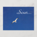 Recherche de harengs cartes postales Crâne