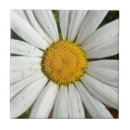 Search for black and white daisy flowers tiles Yellow