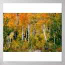 Search for quak posters Autumn