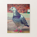 Search for beautiful puzzles Bird