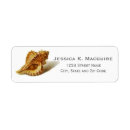 Search for clams return address labels Beach