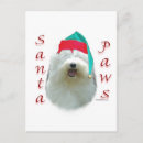 Search for old english sheepdog cards Breed