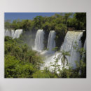 Search for rainforest posters Argentina