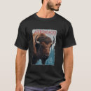 Search for adirondack tshirts Mountains