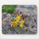 Search for outdoorsman electronics Animal
