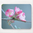 Search for apple mousepads Flower