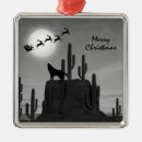 Search for southwestern ornaments Merry christmas