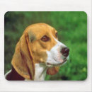 Search for beagle mousepads Pet