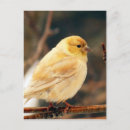 Recherche de saison cartes postales Canada