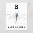 Recherche de libellule bleue cartes postales Aquarelle