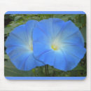 Search for glories mousepads Flower