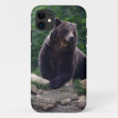Search for big bear iphone cases Background