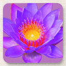 Recherche de lotus dessous de verres Moderne