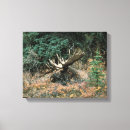 Search for christmas deer canvas prints Landscape