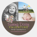 Search for spring flower stickers Daisies