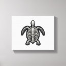 Search for cute tortoise Ocean