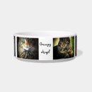 Search for grumpy pet supplies Cats
