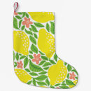 Recherche de citron chaussette de noël Transparent