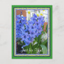 Search for blue hyacinth postcards Flowers