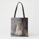 Search for lioness bags Wildlife