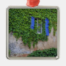 Search for ivy ornaments Window