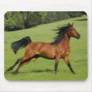 Search for galloping mousepads Horse