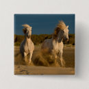 Search for horses running buttons White horse