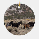 Recherche de mustang sauvage ornements Désert