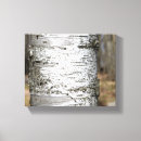 Search for tree bark canvas prints Birch