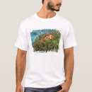 Search for ocean pacific clothing Marine life