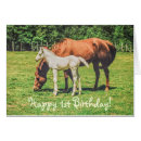 Recherche de foal Cheval