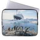Search for penguin laptop cases Animal wildlife