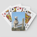 Search for sheep playing cards Ewes